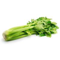 Apio verde manojo Apio verde manojo