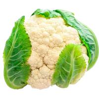 Coliflor LA CONCA, unidad Coliflor LA CONCA, unidad