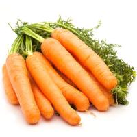 Zanahoria LA CONCA, manojo Zanahoria LA CONCA, manojo