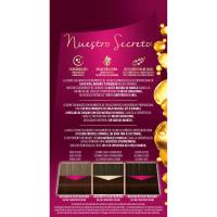 Tint Intensive N.4.6 castanyer marró PALETTE, caixa 1 u