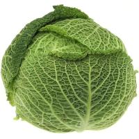 Col rizada Catalunya, pieza al peso aprox. 1.5 kg Col rizada Catalunya, pieza al peso aprox. 1.5 kg