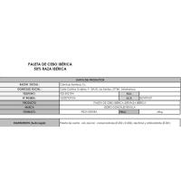 Paleta ibérica de cebo V. ALAGÓN, pieza aprox. 5 kg