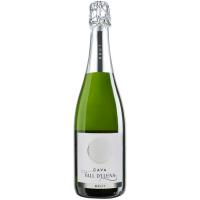 Cava Brut VALL D`LLUNA, botella 75 cl Cava Brut VALL D`LLUNA, botella 75 cl