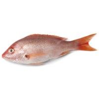 Pagre sencer i net de criança, al pes, compra mínima 800 g