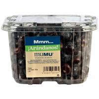 Arándano, barqueta 500 g Arándano, barqueta 500 g