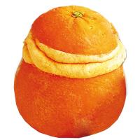 Helado sabor naranja en su cáscara NORDWIK, 1 ud, 90 g