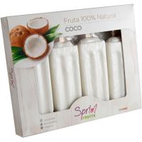 Helado artesanal de fruta sabor coco SPRIM FRUITS, caja 405 g