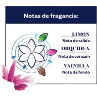 Suavitzant lliri captivador MIMOSIN ORIGINS, ampolla 50 dosi