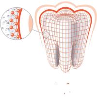 Dentifrici anticàries ELMEX, tub 75 ml
