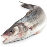 Llobarro de criança DEL DELTA, peça aprox. 500 g Llobarro de criança DEL DELTA, peça aprox. 500 g