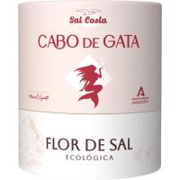 Flor de sal cap de gata eco SAL COSTA, paquet 150 g