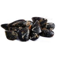 Musclo 40-50, bossa 1 kg